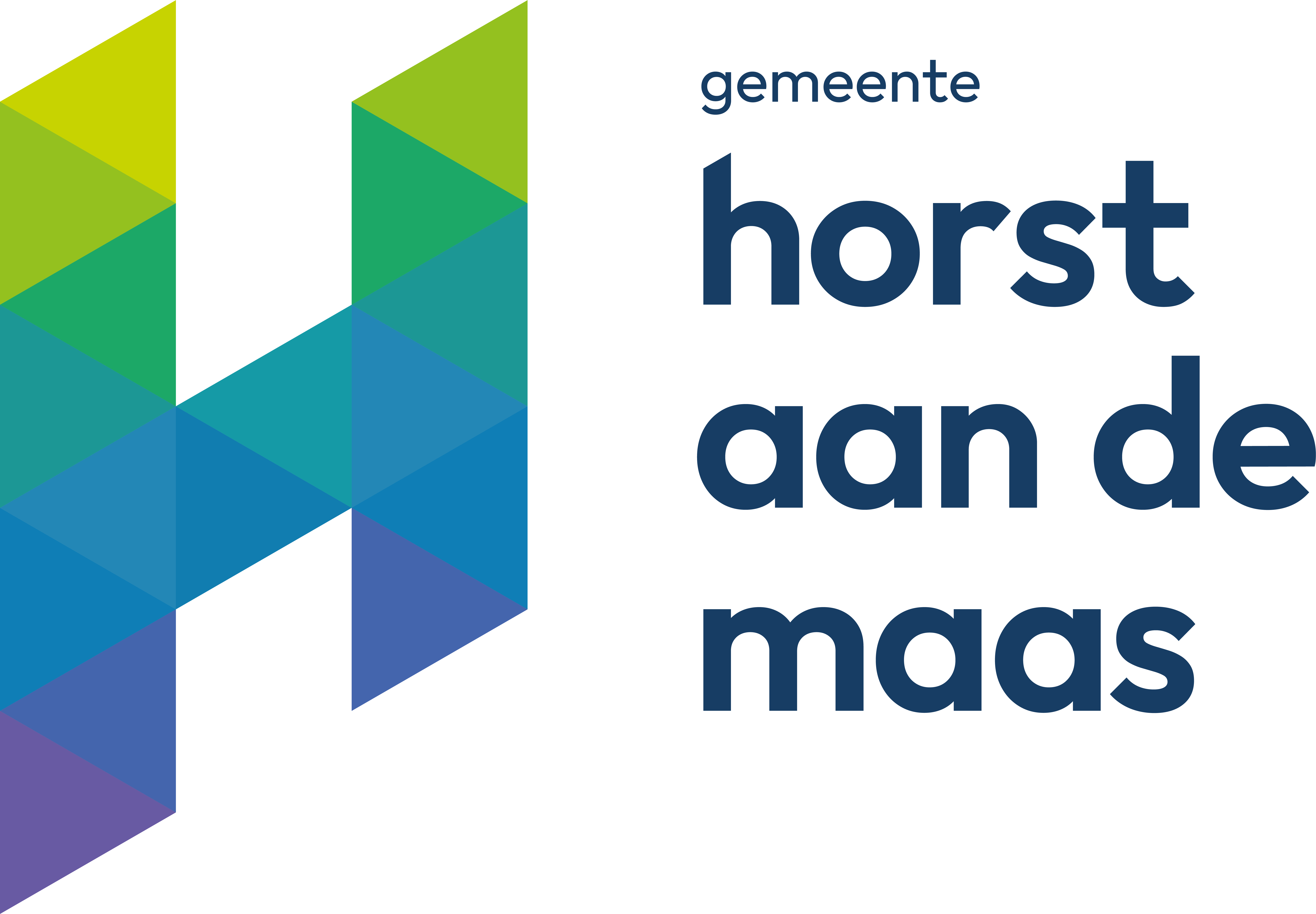 Gemeente HADM LOGO blok cmyk